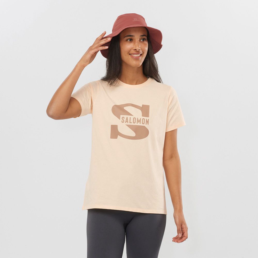 Camisetas Salomon Mujer Beige - Salomon Argentina OUTLIFE BIG LOGO,237641-QAR